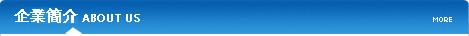 公司简介
